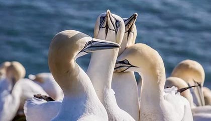 九游娱乐(jiuyou)官方网站-全国武术比赛吸引数千选手同台竞技，2021年全国武术比赛有哪些