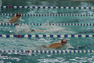 九游sports-中国游泳运动员世锦赛接力项目表现抢眼，中国游泳接力夺金